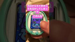 元日からちゃまめっちを泣かせてしまいました#たまごっちスマート