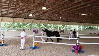 3rd Best Iron Spring Farm Friesian 20181001