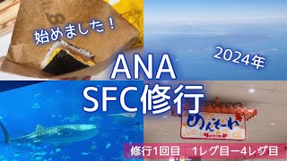 [SFC修行Vlog]初回は沖縄旅！（＃１）