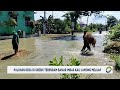 puluhan desa di gresik terendam banjir imbas kali lamong meluap