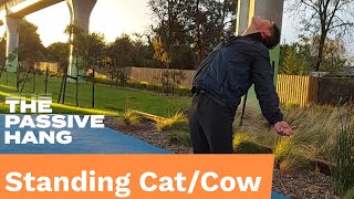 Loaded Spine Mobility Exercise: Standing Cat/Cow