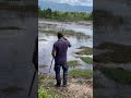 មេមេ tiktok បបក់