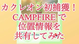 【ポケモンGO】カクレオン初捕獲！ CAMPFIRE で位置情報を共有してみた #shorts