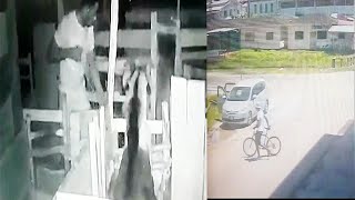 Goat thief n phone thief caught on cam, thieves caught on camera stealing