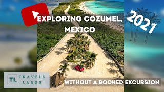 Cozumel without a booked Shore Excursion