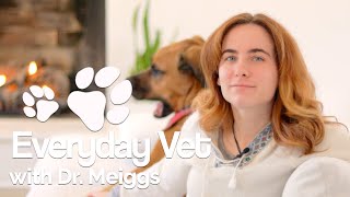Causes and Medical Complications of Dog Obesity