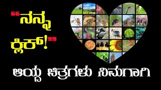 Nature Photography | Birds Photography | Photography | My Vlog in Kannada | My Clicks | Photos
