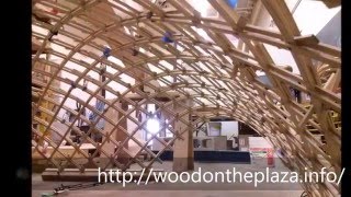 UMass Grid Shell Project