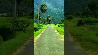 ഒരു പാലക്കാടൻ ഗ്രാമം ❤️#palakkad #naturephotography #nature #travel #short #shortvideo #shorts