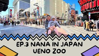 EP.3 พาลูกเที่ยวญี่ปุ่น | UENO ZOO สวนสัตว์ในโตเกียว / ร้าน Ootoya, UNATOTO | นานะไดอารี่