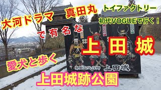 大河ドラマ「真田丸」で有名な信州上田城へ！　トイファクトリー初代VOGUEで行く愛犬と車中泊旅！