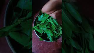 Ashadam special Gorintaku🌿💚#naturelovers#plants#greenery#subscribe 🔔