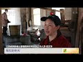 中国三农报道 江西铜鼓：古法榨茶油 传承至今 农业致富经 agriculture and farming