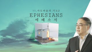 [에베소서] 11. 사도 바울의 기도2 (엡1:15-19)