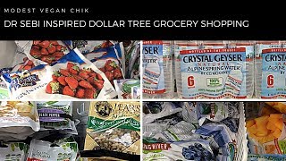 Dr Sebi Inspired Alkaline Grocery Shopping at DOLLAR TREE | Vegan | Budget Friendly