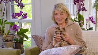 Pretty Litter Commercial (Martha Stewart) (01/2023)