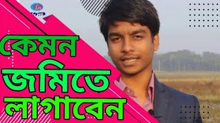 অজানা হাইব্রিড ঘাস||রোপণ পদ্ধতি||চাষ পদ্ধতি||Ojana hybrid grass||Planting method||Cultivation method