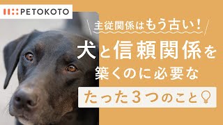 犬との信頼関係の築き方をドッグトレーナーが解説！（犬のしつけ / ドッグトレーニング）