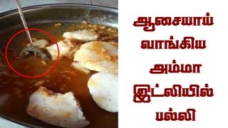 ஆசையாய் வாங்கிய ‘அம்மா’ இட்லியில் பல்லி