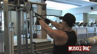 MuscleDog.com Presents: Standing Cable High Row