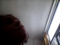 Esther hungara canta te como tu cara