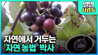 자연에서 난 그대로 사람의 손을 거치지 않는 자연농법, 맛과 건강을 모두 잡는다!! [ 별별사람들 ]