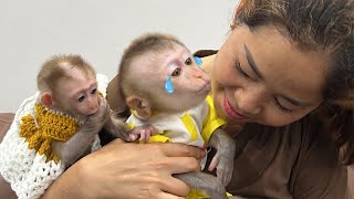 Monkey Tina has special feelings for her mother when she sees her again