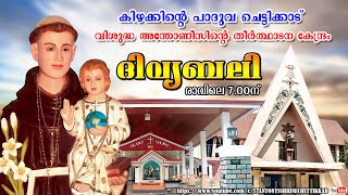 27 DECEMBER 2024 ||  ദിവ്യബലി ||  ST. ANTONYS SHRINE CHETTIKKAD