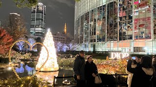 Dec. 5, 2023: Dior Illuminations at Mohri Garden in Roppongi Hills (六本木ヒルズの毛利庭園：ディオールのイルミネーション)