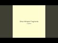 Silver Whisper Fragments