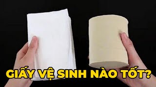 Giấy vệ sinh màu trắng và màu vàng, loại nào tốt hơn? - Kênh Hướng Dẫn