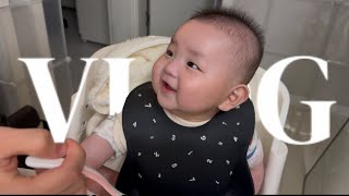 [VLOG] 5개월 아기 육아 브이로그 | 이유식 준비 | 숟가락 연습 | 연휴 뒤 일상 | 애개육아🐶👶🏻