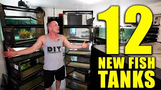 12 NEW AQUARIUMS! What Fish, DIY filters and ideas!