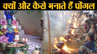 Pongal: जानिए क्यों और कैसे मनाया जाता है पोंगल का त्यौहार | Jeevan Kosh