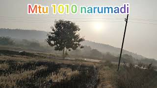 1010 narumadi #paddy farming #viralvideos