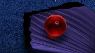 Nemo Egg [Partial Extended]