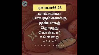 அனுதின அப்பம் , 24th April 2022      ஏசாயா66:23