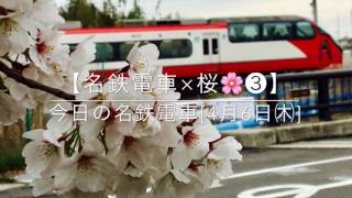 《名鉄電車×桜🌸❸》今日の夕方の名鉄電車『ミニ』[4月6日㈭]