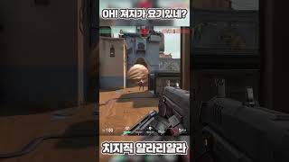 체임버:여태까지 날 미행한거야? #shorts  #valorant #발로란트 #브림스톤