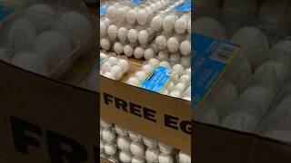 FDA Issues High-Risk Recall for Costco Eggs Over Salmonella Fears #news #latestnews #worldnews