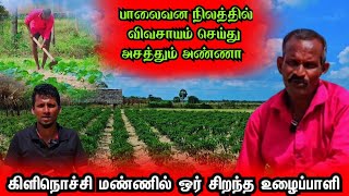 பாலைவன நிலத்தில் விவசாயம் செய்து அசத்தும் கிளிநொச்சி மண்ணின் யாரும் அறியாத உழைப்பாளி