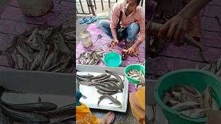 রবিবারের মাছের বাজার #viralshort #subscribe #fishmarket #youtube  #dailyvlog @BabyMomLifestyle2021