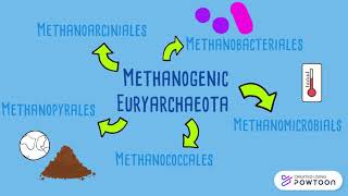 BIO350: Module 8