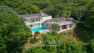 For Sale - In The Trees, Barbados - Luxurious 5 Bedroom Villa