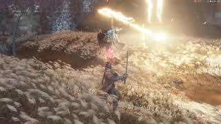 SEKIRO  隻狼 八周目 劍聖葦名一心(無傷、霧鴉雷反)