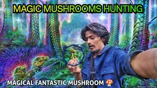 Magic mushroom hunting in kalki 🍄 | Dark forest in kodaikanal