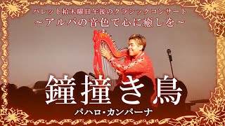 「アルパの音色で心に癒しを『鐘撞き鳥』」パレット柏  午後クラ