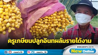 ครูเกษียนปลูกอินทผลัมรายได้งาม