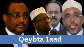 Shirqoolkii Kambala Accord , Taariikhda Prof.Abdiweli Gas