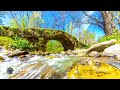 konya time lapse tanıtım kilistra gökyurt meram cadde ve sokaklar